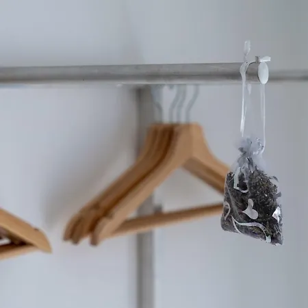 The Foxhouse 招待所