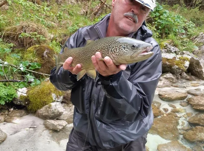 The Foxhouse Gasthof 3*